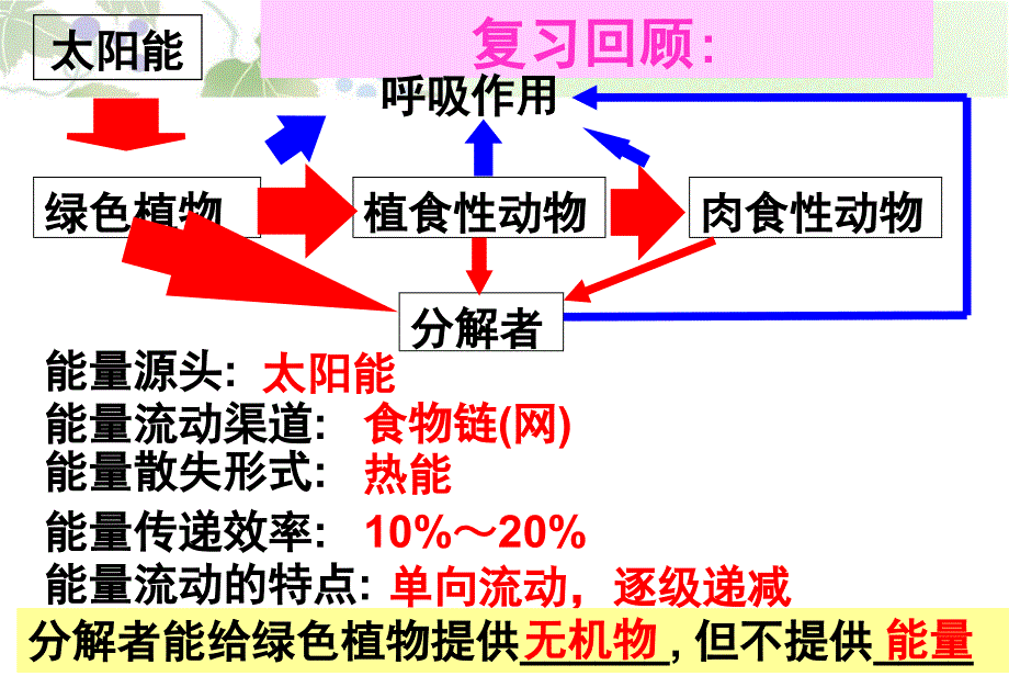 生态系统的物质循环精品_第2页