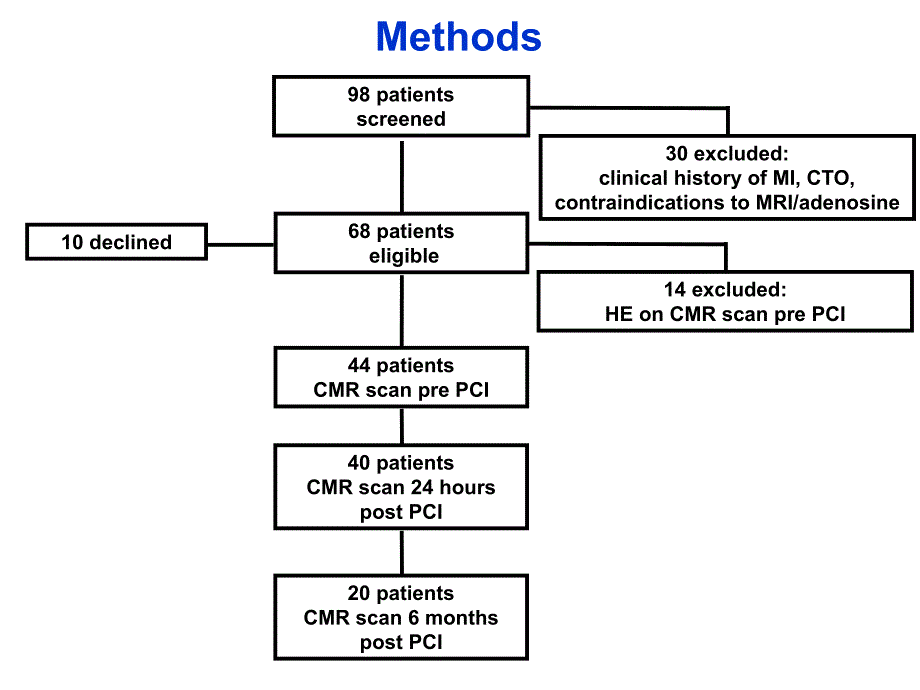 A Quantitative MR Perfusion Study定MR灌注的研究_第3页