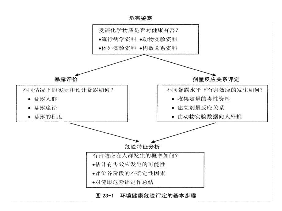 第四章环境健康危险评定与管理课件_第5页