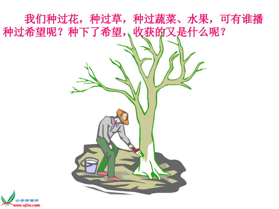 播种希望的日子ppt_第2页