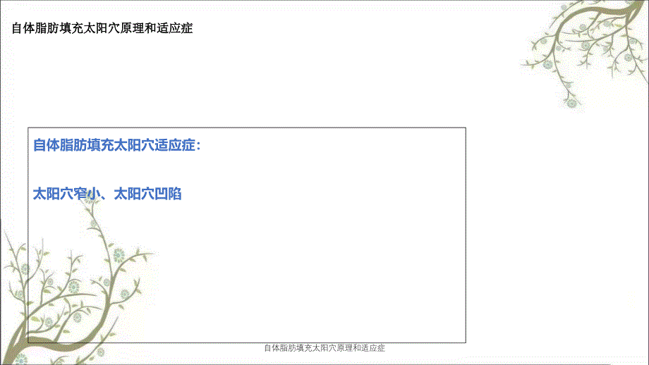 自体脂肪填充太阳穴原理和适应症课件_第3页