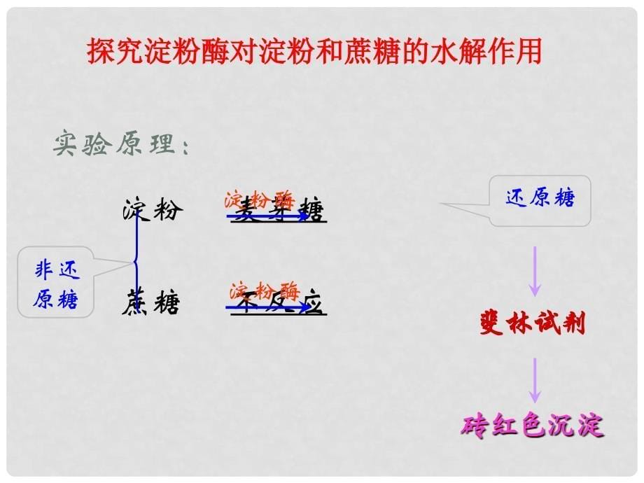 湖南省醴陵市高中生物 5.1 降低化学反应活化能的酶2课件（必修1）_第5页