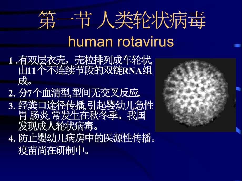 二十六章急胃肠炎病毒_第2页