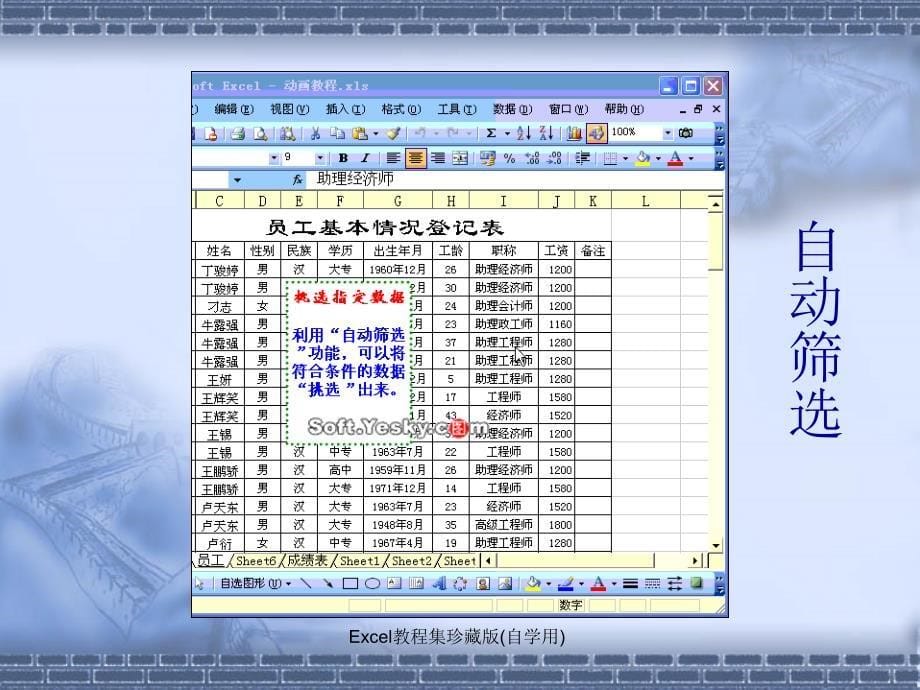 Excel教程集珍藏版自学用_第5页