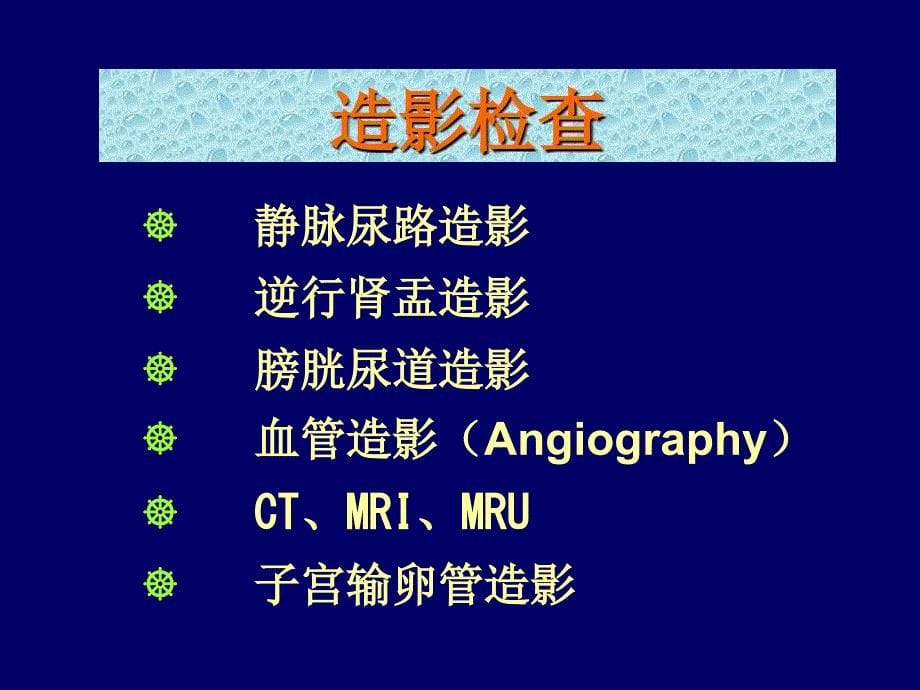 第6章泌尿系统1课件_第5页