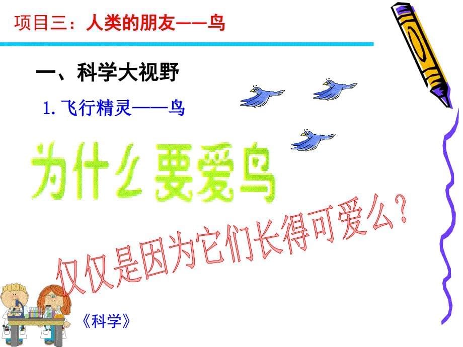 项目三人类的朋友——鸟_第5页