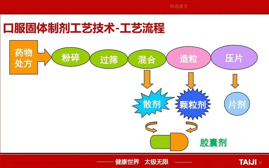 现代口服固体制剂工艺技术与设备讲座教学_第5页