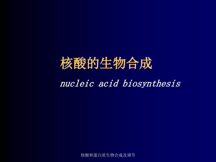 核酸和蛋白质生物合成及调节课件_第1页