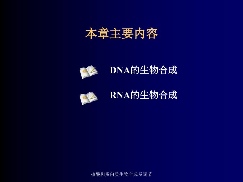 核酸和蛋白质生物合成及调节课件_第2页