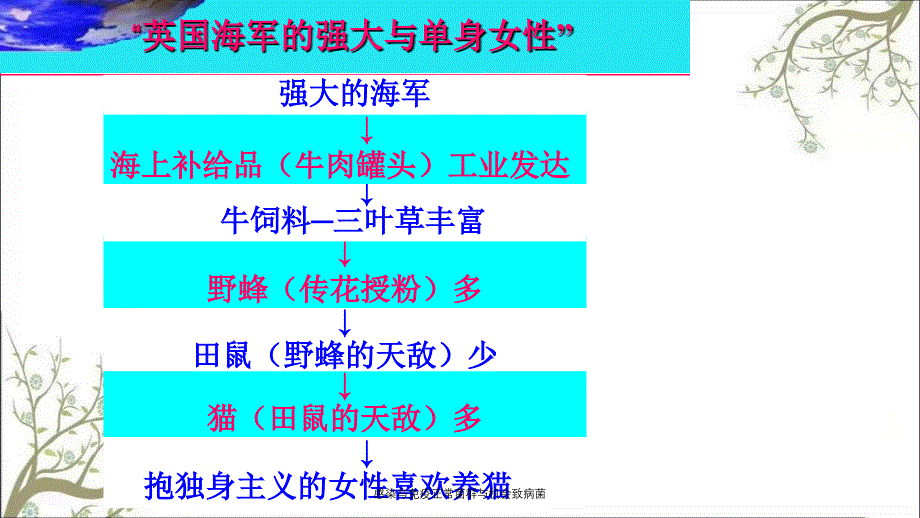 感染与免疫正常菌群与机会致病菌课件_第3页