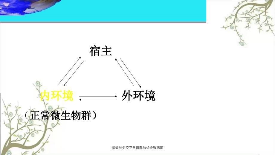 感染与免疫正常菌群与机会致病菌课件_第5页