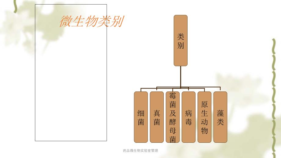 药品微生物实验室管理ppt课件_第2页