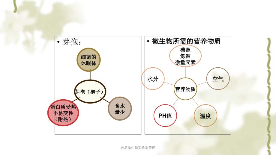 药品微生物实验室管理ppt课件_第4页