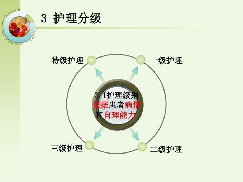 护理分级PPT课件.ppt_第5页