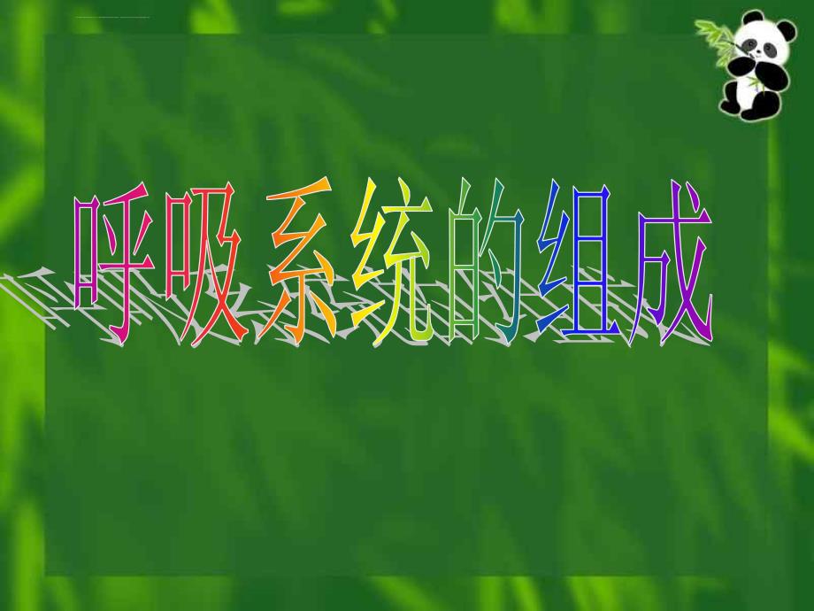 呼吸系统的组成ppt课件_第1页