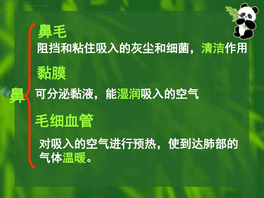 呼吸系统的组成ppt课件_第4页