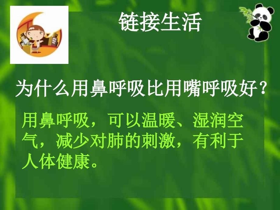 呼吸系统的组成ppt课件_第5页