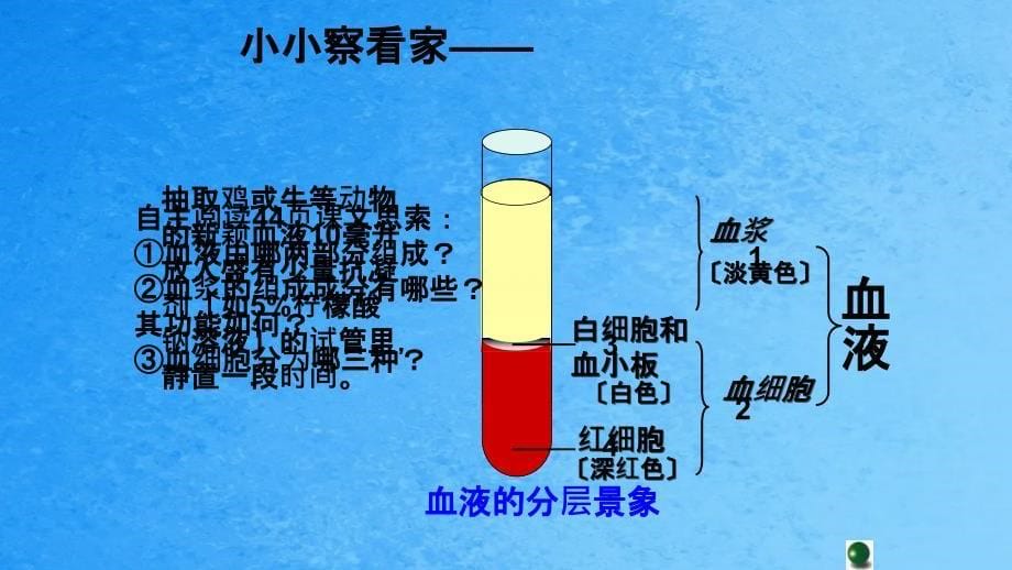 济南版七年级生物下第三单元第三章第一节物质运输的载体教学共13张ppt课件_第5页