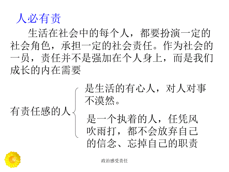 政治感受责任课件_第4页