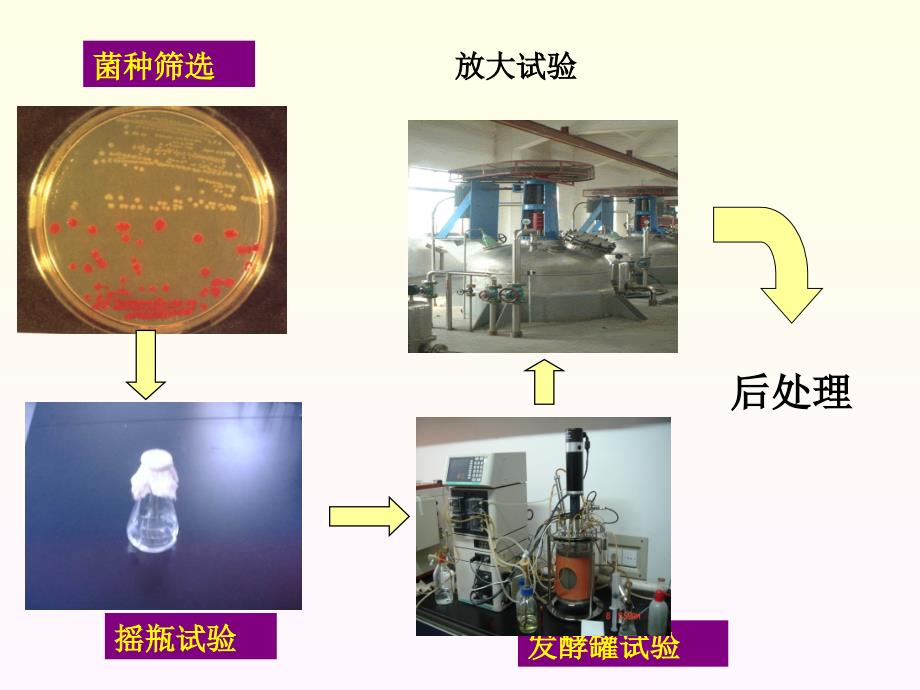 第3章发酵工业的培养基及原料处理jiang_第2页