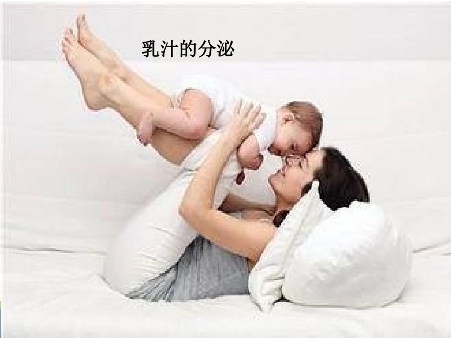 乳汁的生成与分泌_第1页