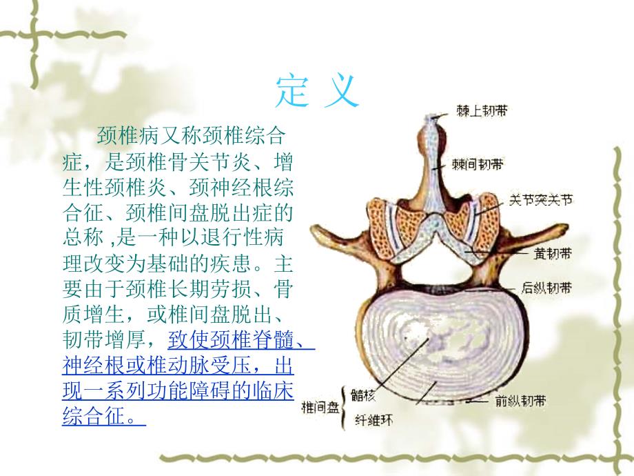 颈椎病的X线征象与临床_第2页