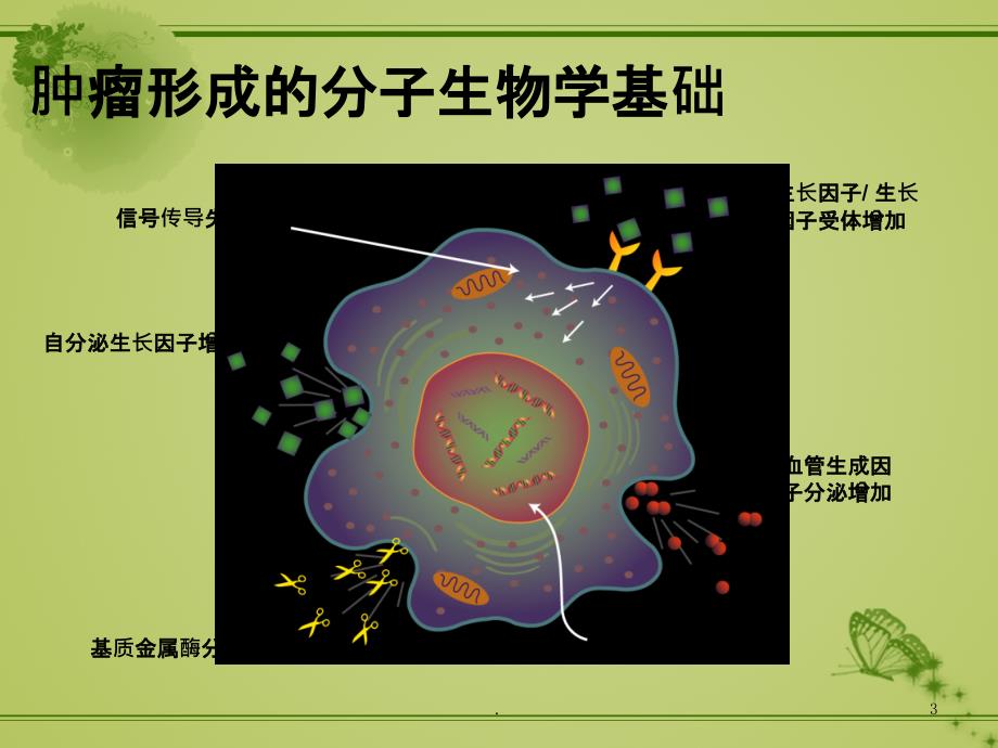 肿瘤科培训资料课件_第3页