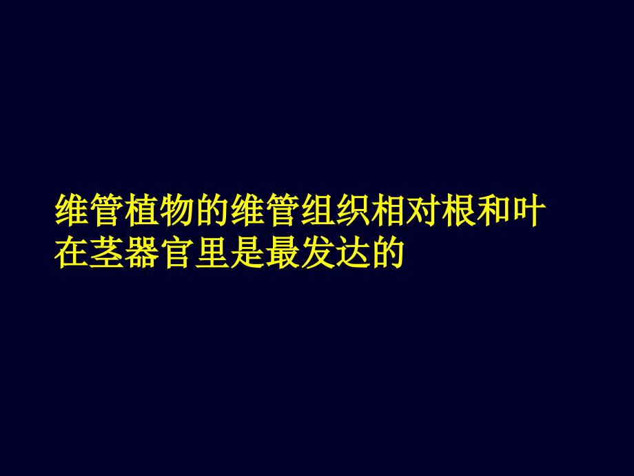 第三章营养器官茎_第2页