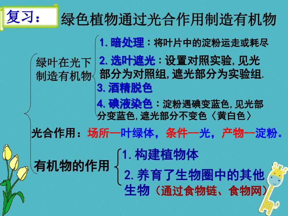 七年级生物上册 3.5.1光合作用吸收二氧化碳释放氧气1 （新版）新人教版_第1页