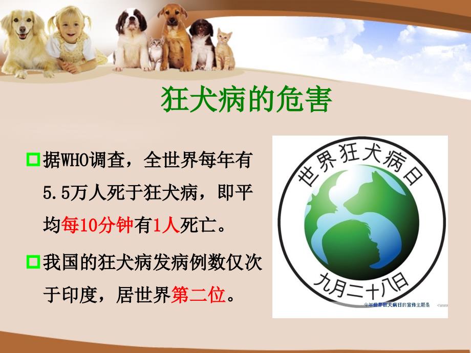 狂犬病预防知识PPT.ppt_第3页