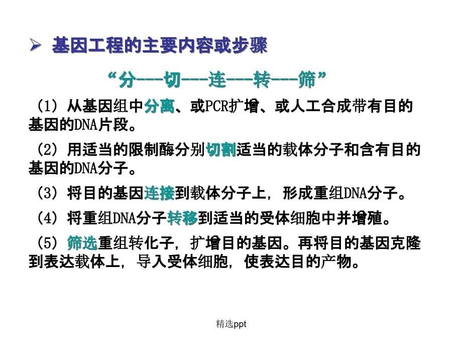 分子生物学研究方法上_第5页