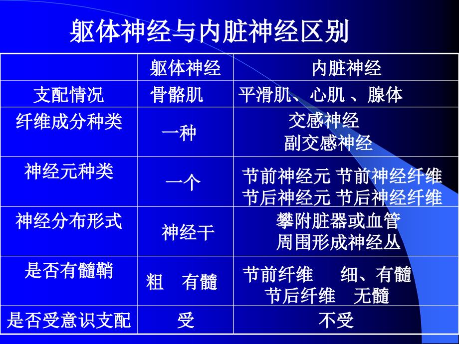 神经解剖内脏神经ppt课件_第2页