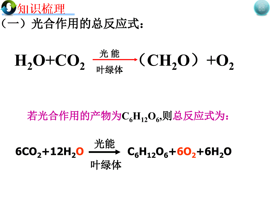 二轮光合作用_第3页