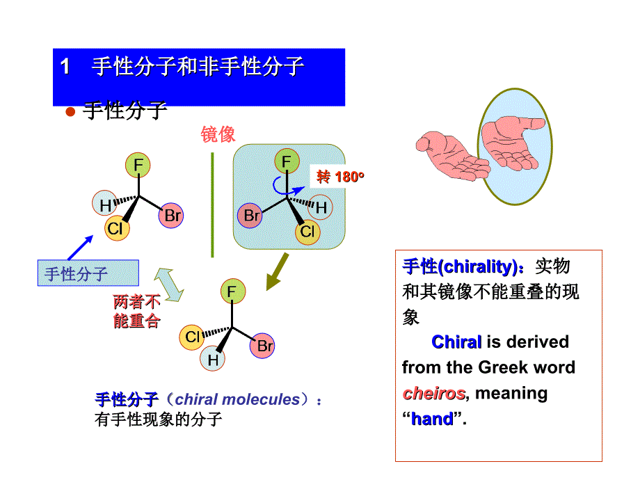 有机化学0031_第3页