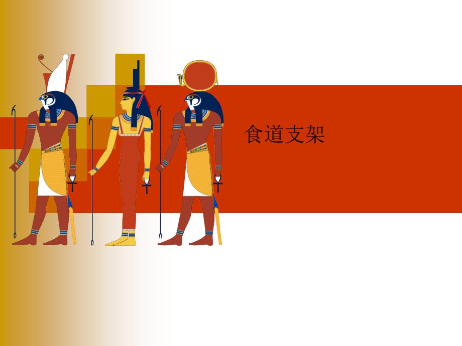 食道支架课件.ppt_第1页
