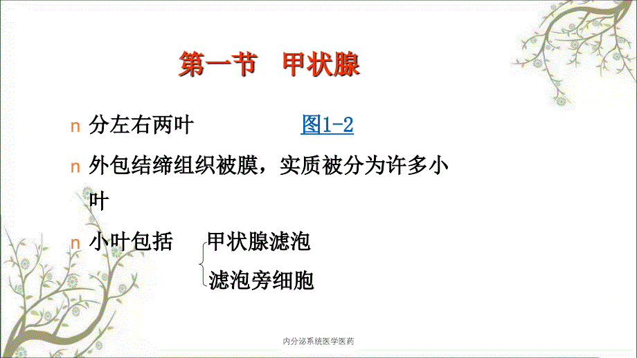 内分泌系统医学医药课件_第3页