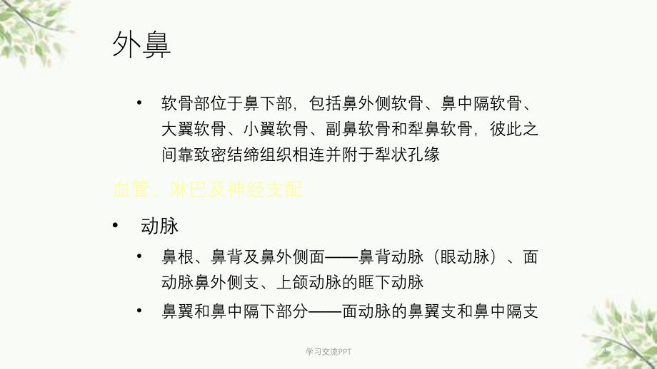 鼻鼻窦解剖课件_第4页