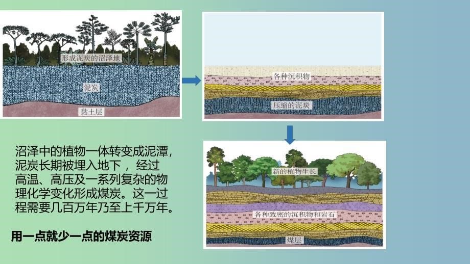 八年级地理上册第三章第一节自然资源课件新版新人教版.ppt_第5页