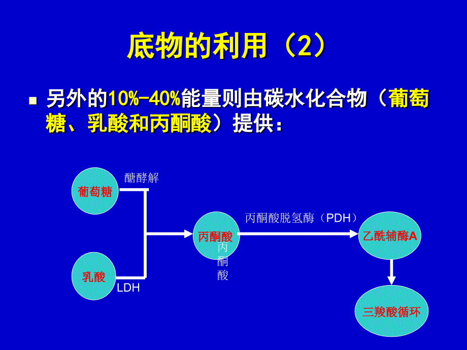 心肌代谢与心力衰竭柯元南_第4页