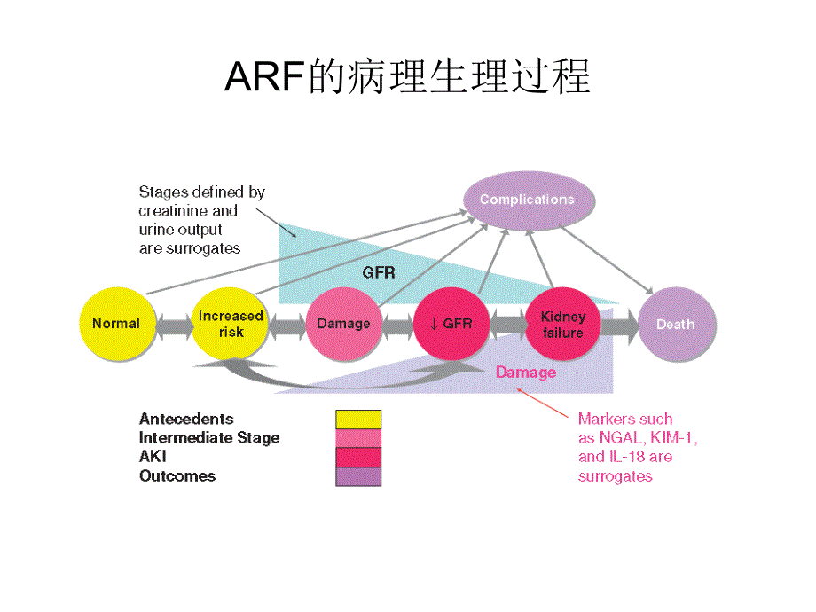 急性肾损伤诊断标准进展_第3页