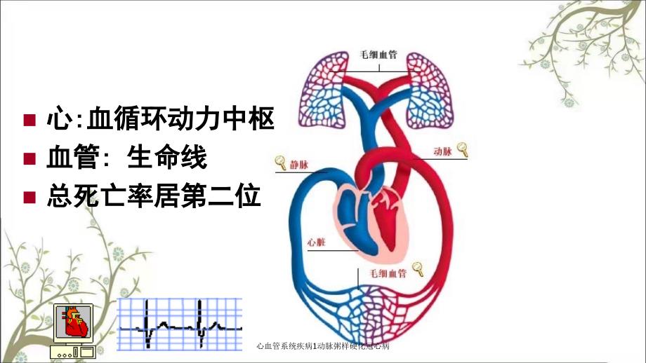 心血管系统疾病1动脉粥样硬化冠心病_第2页