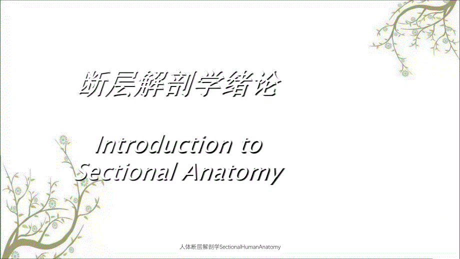 人体断层解剖学SectionalHumanAnatomy_第2页