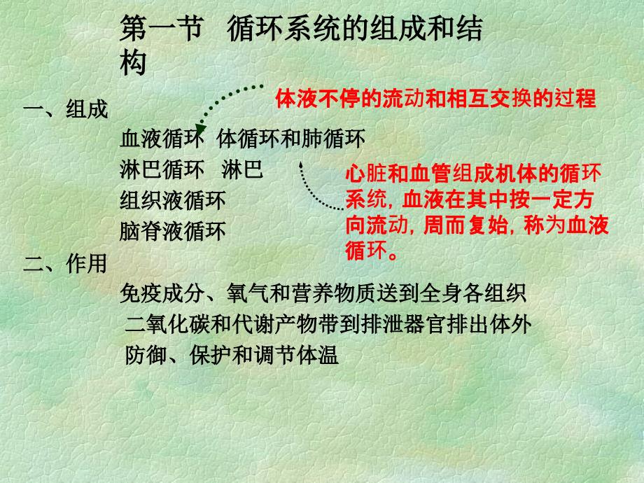 循环系统的结构和功能ppt课件_第2页