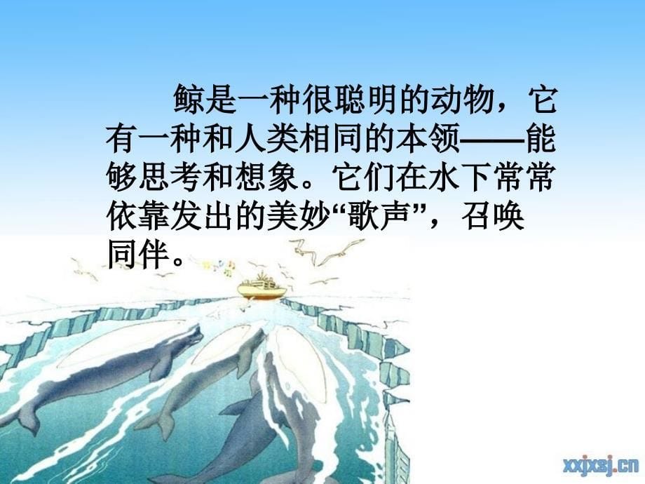 人教版小学语文三年级上册《喜爱音乐的白鲸》课件_第5页