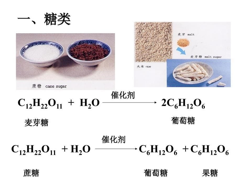 专题二第二单元提供能量与营养的食物_第5页