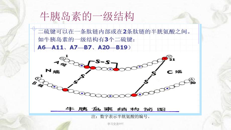 蛋白质一级结构决定高级结构课件_第4页