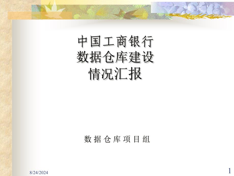 工商银行数据仓库总体设计-dem_第1页