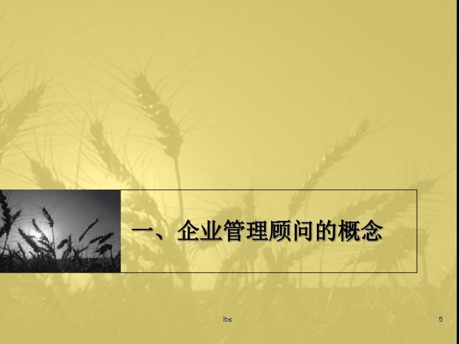 企业管理运营规划_第5页