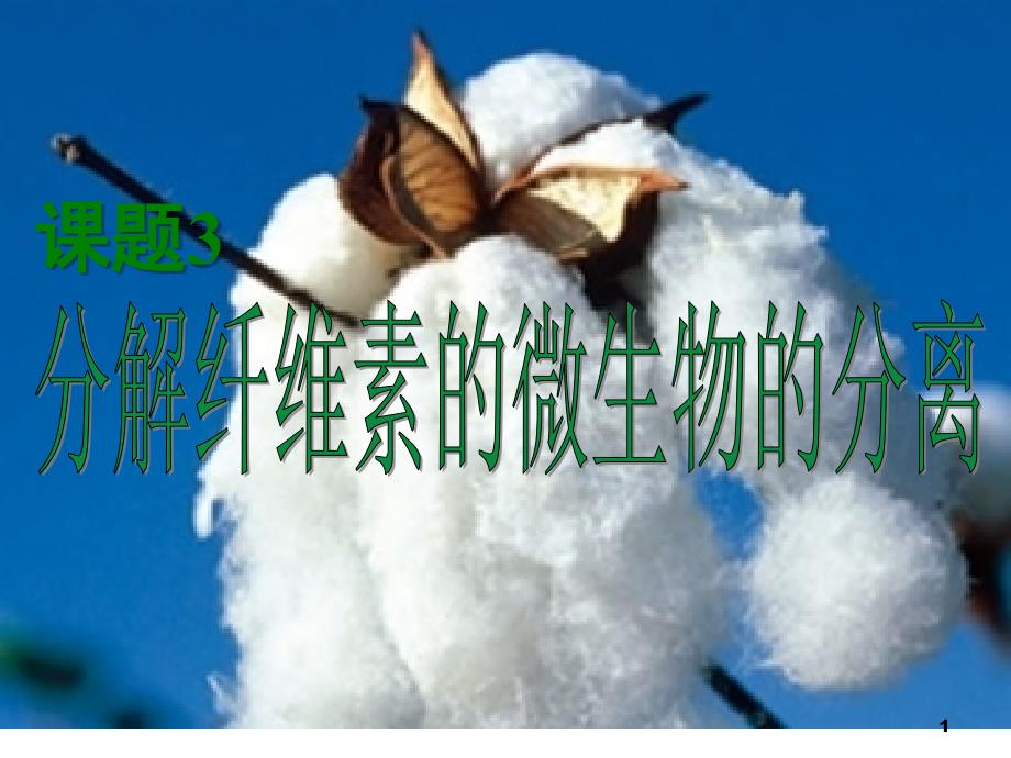 分解纤维素的微生物的分离知识点课堂PPT_第1页