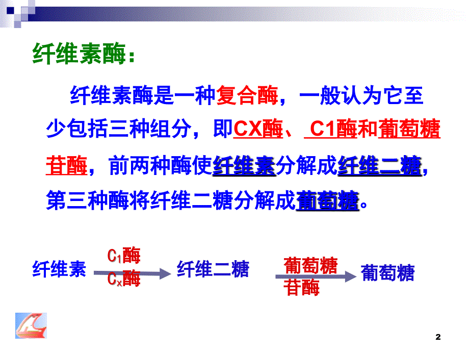 分解纤维素的微生物的分离知识点课堂PPT_第2页